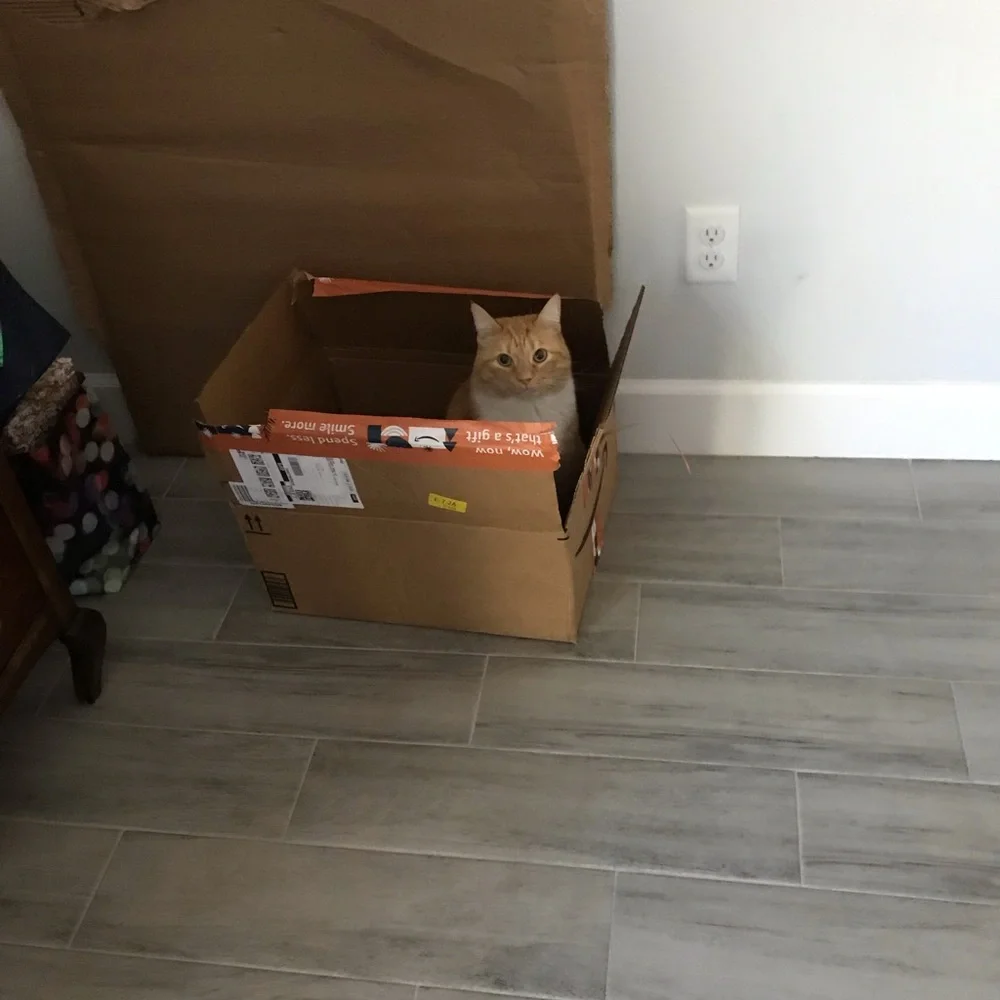 I’m PumpkinSpice the other Spice Girl - Picture 11 of 17